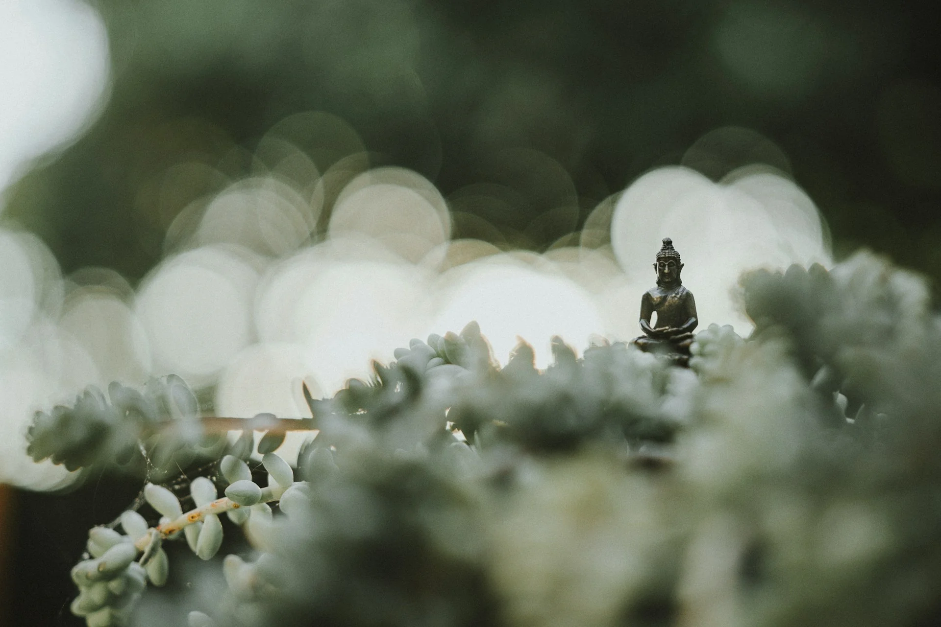 Hands resting gently in a Reiki healing position during a distance healing session